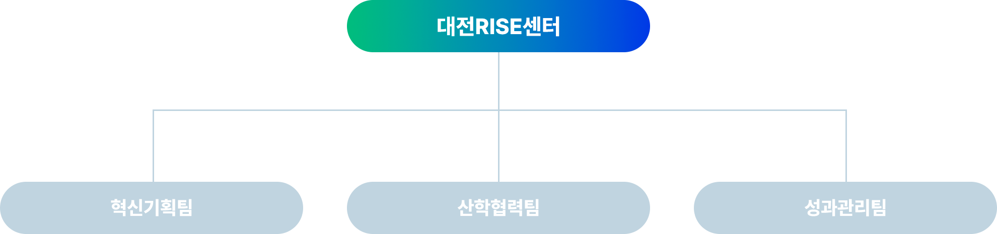 조직도